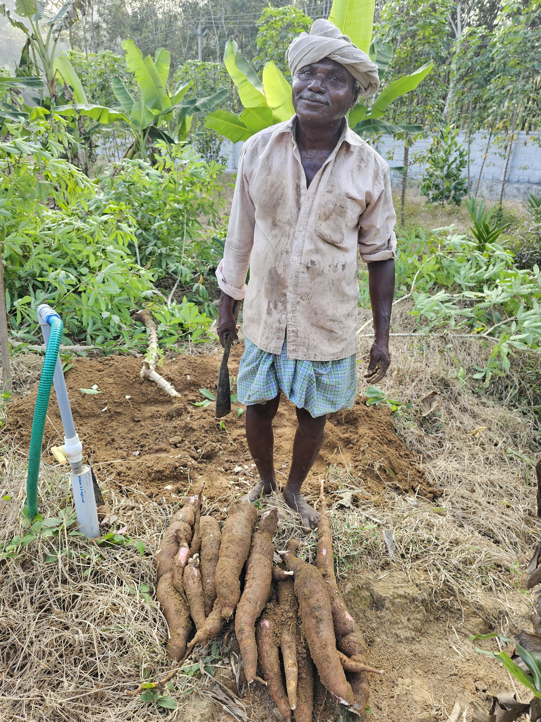 Supporting Farmers: The Heart of Nature Nosh’s Mission