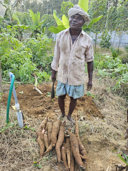 Supporting Farmers: The Heart of Nature Nosh’s Mission